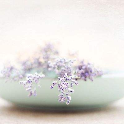 香港最准资料免费公开